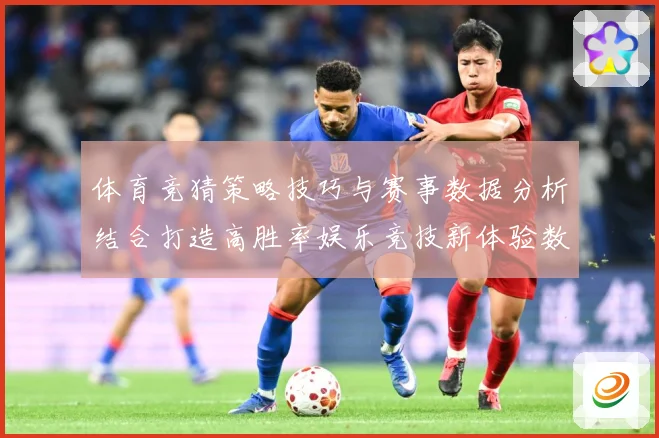 体育竞猜策略技巧与赛事数据分析结合打造高胜率娱乐竞技新体验数据研判-深度解析