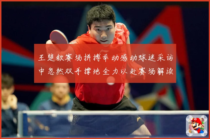 王楚钦赛场拼搏举动感动球迷采访中忽然双手撑地全力以赴赛场解读-深度解析