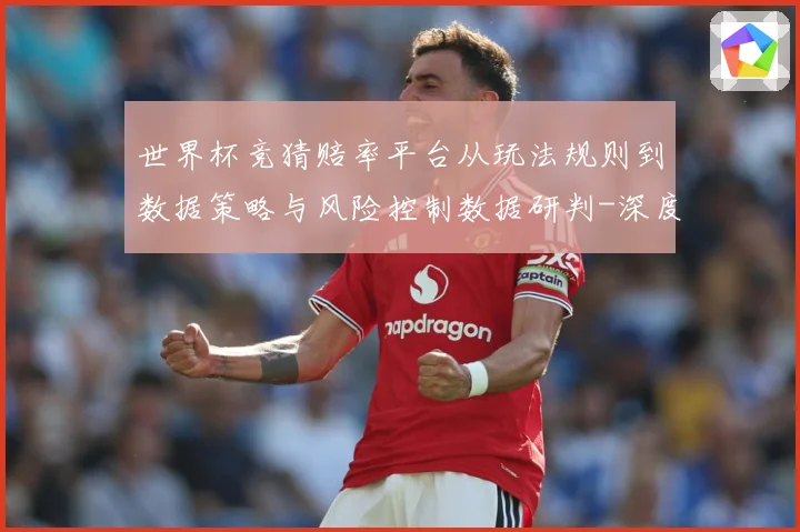 世界杯竞猜赔率平台从玩法规则到数据策略与风险控制数据研判-深度解析