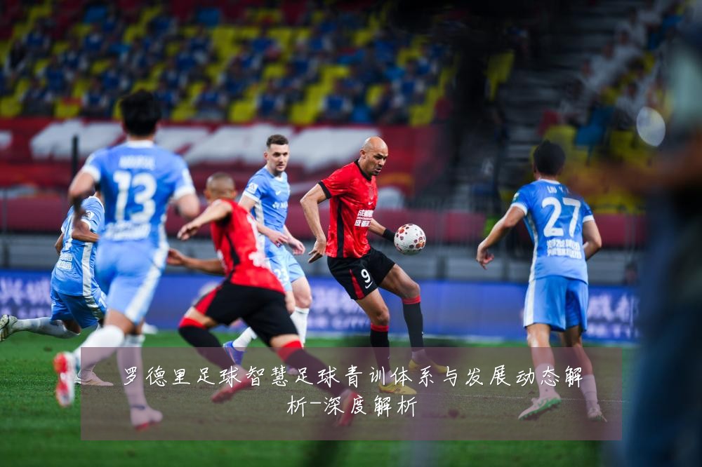 罗德里足球智慧足球青训体系与发展动态解析-深度解析